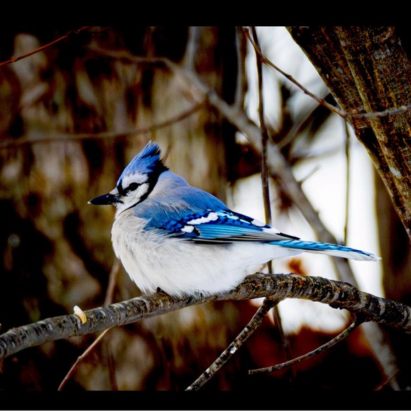 Meet your Posher, Christine - Picture 1 of 1